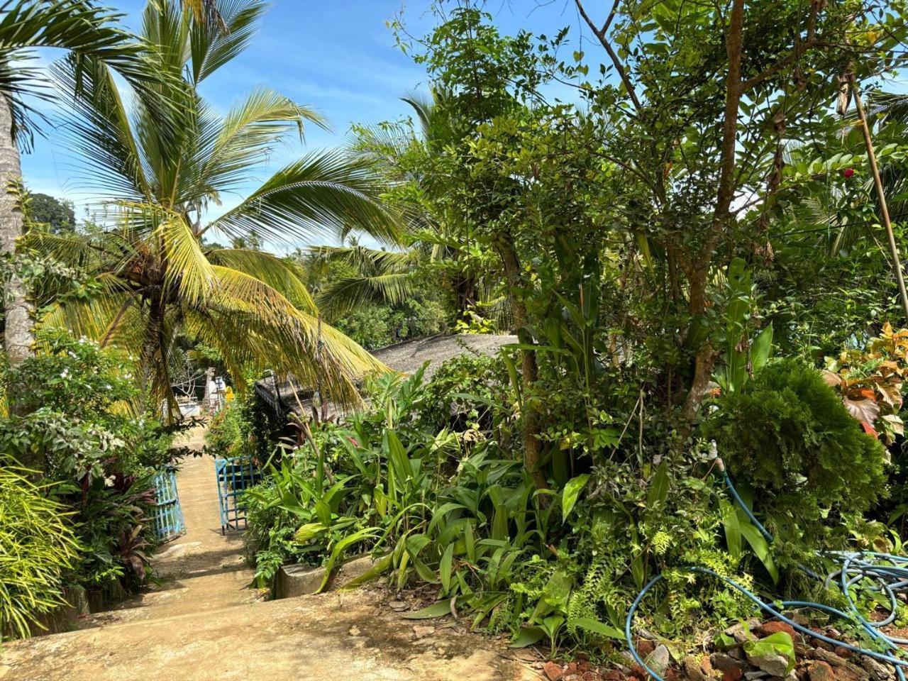 Surf Paradise Tangalle Exterior foto